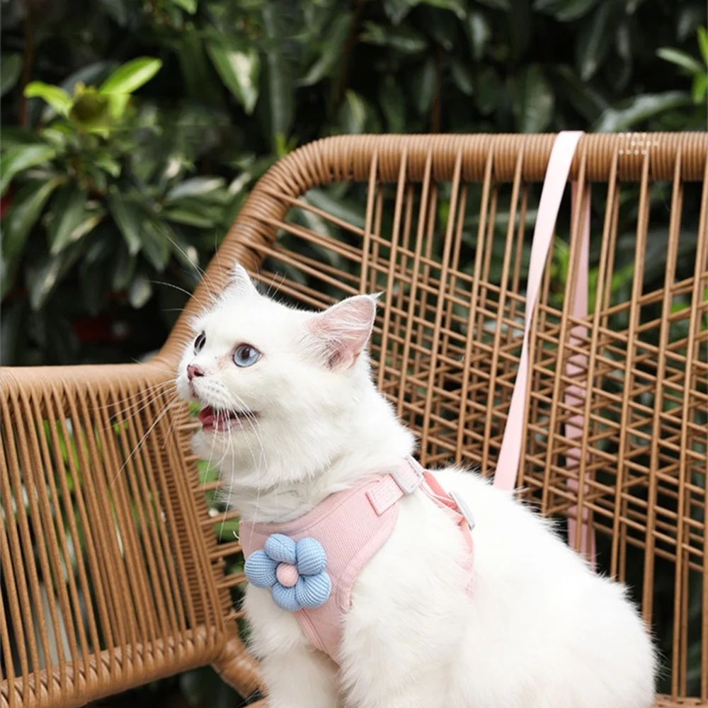 Versace Blue and Pink Dog Travel Carrier